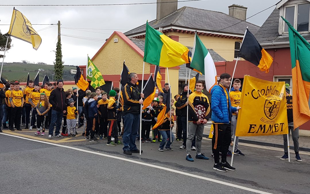 Emmets show their colours for parade